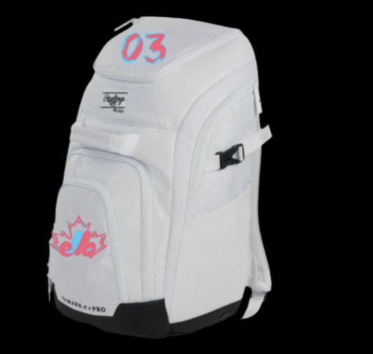 Sac de baseball